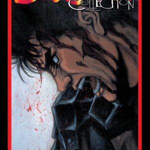 Berserk collection Serie nera volume 26 in italiano